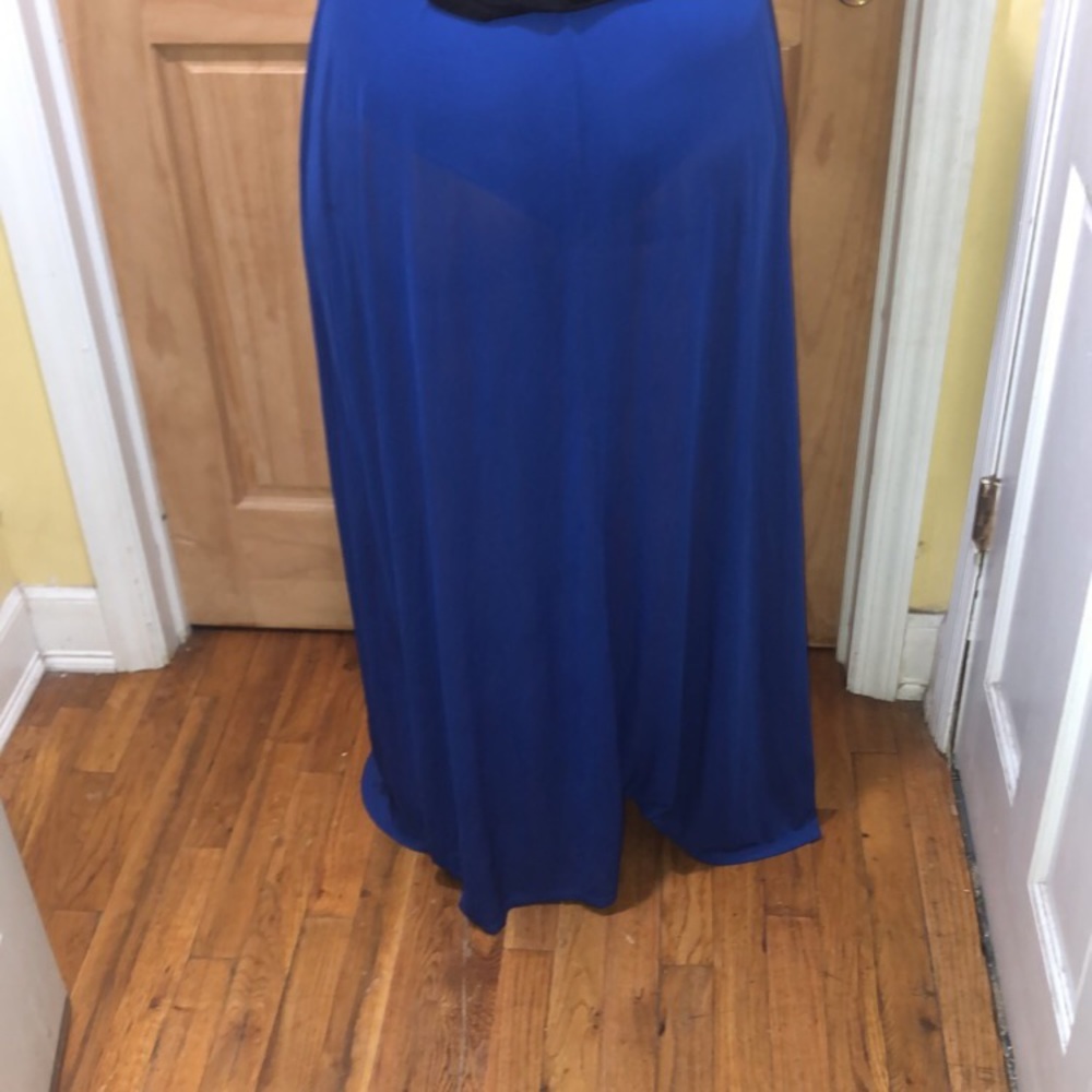 Long sheer skirt